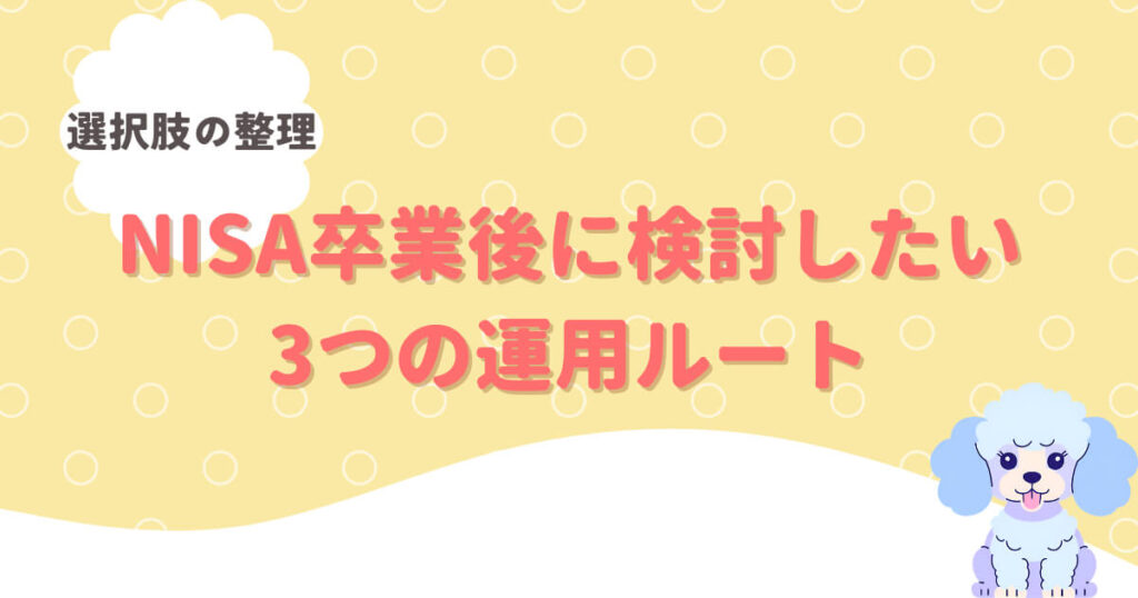 【選択肢の整理】NISA卒業後に検討したい3つの運用ルート
